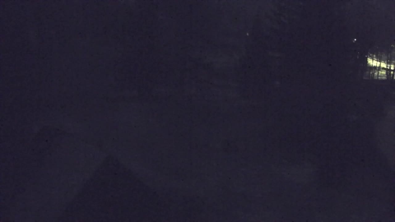 Camera en vivo Lokve – La belleza del bosque de Trnovo