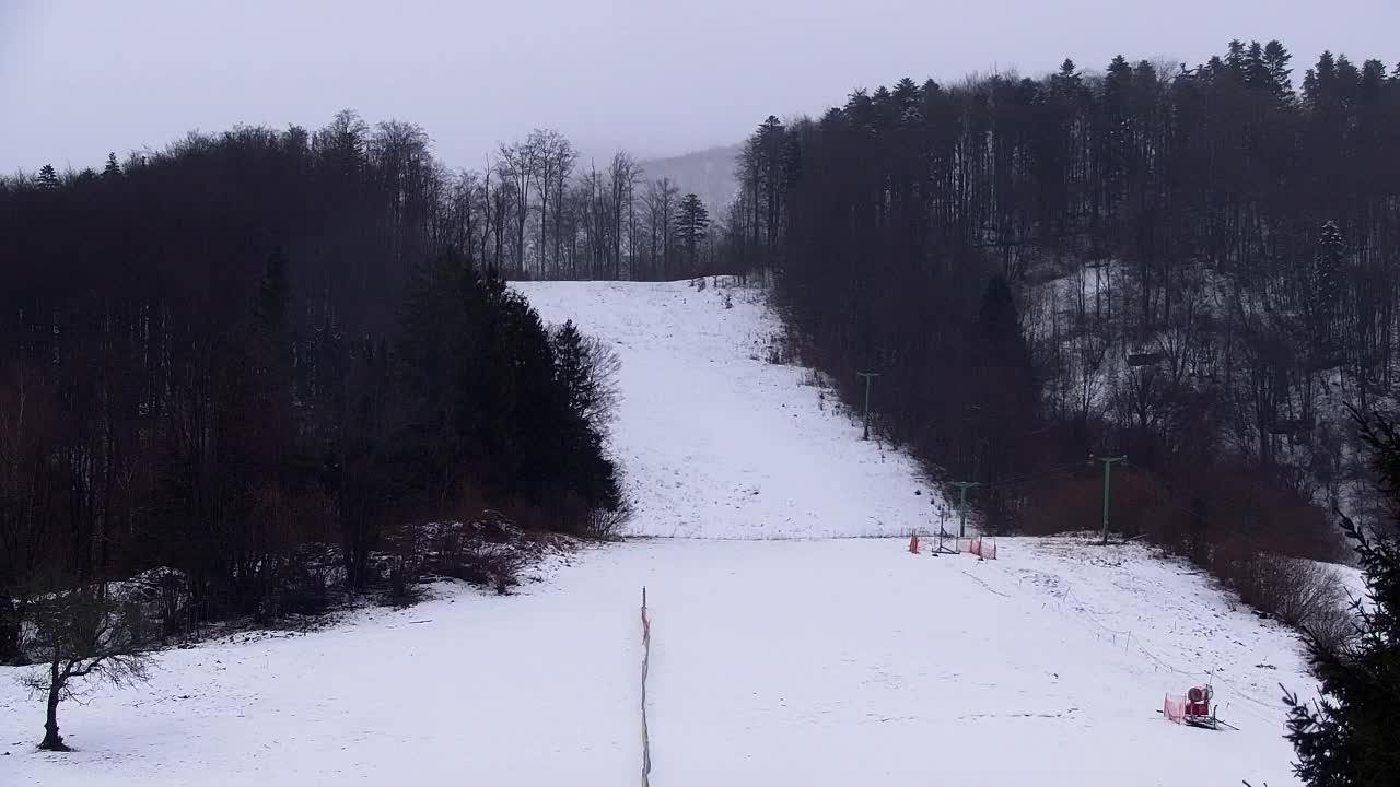 Web kamera Lokve – Ljepota Trnovske šume