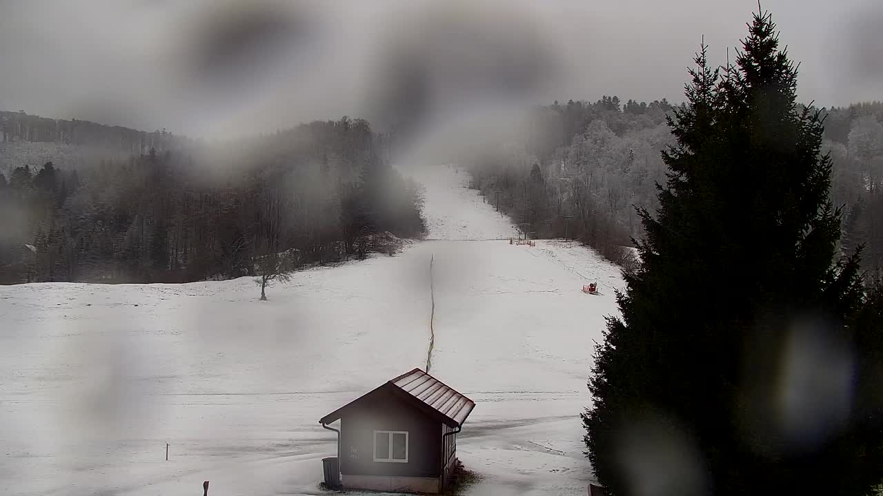 Webcam Lokve – La beauté de la forêt de Trnovo