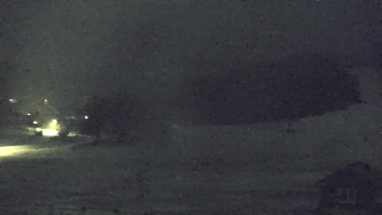 Webcam Lokve – Die Schönheit des Trnovo-Waldes