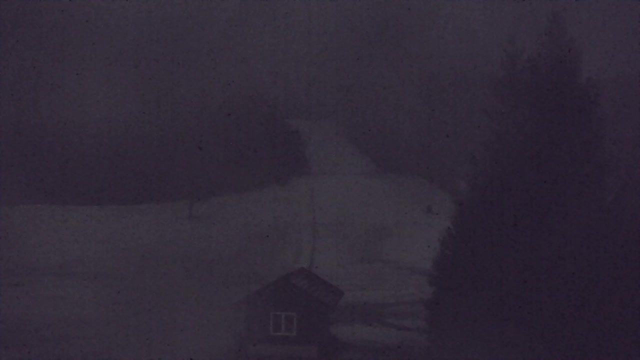 Webcam Lokve – The beauty of the Trnovo forest