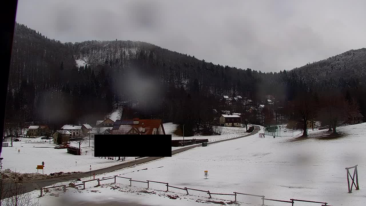 Webcam Lokve – The beauty of the Trnovo forest