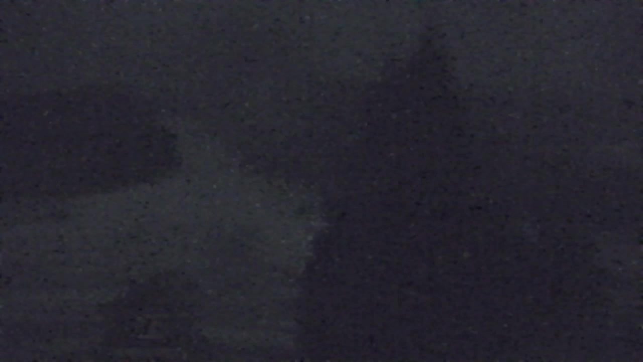 Webcam Lokve – La beauté de la forêt de Trnovo