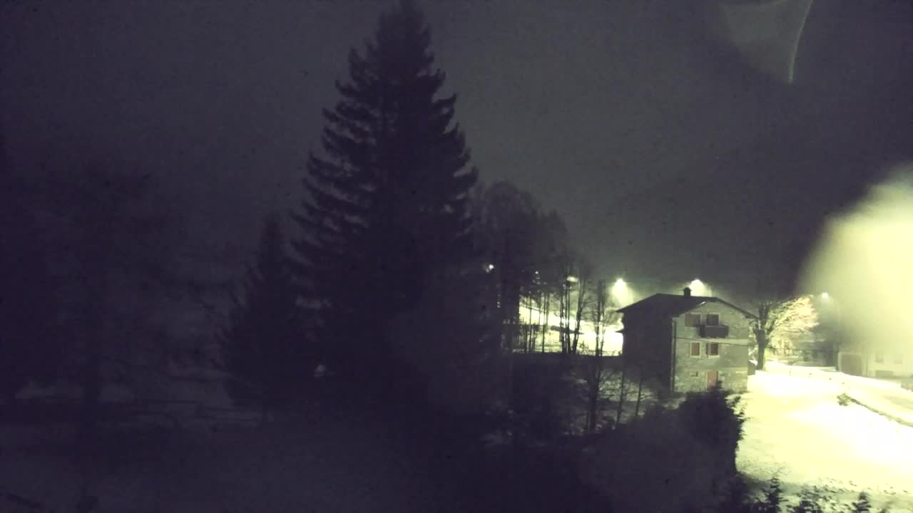 Webcam Lokve – Die Schönheit des Trnovo-Waldes