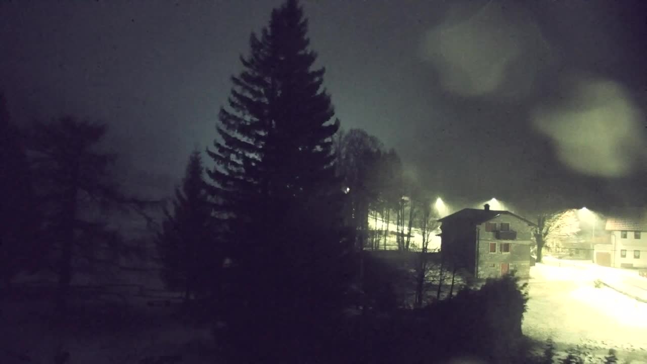 Webcam Lokve – The beauty of the Trnovo forest