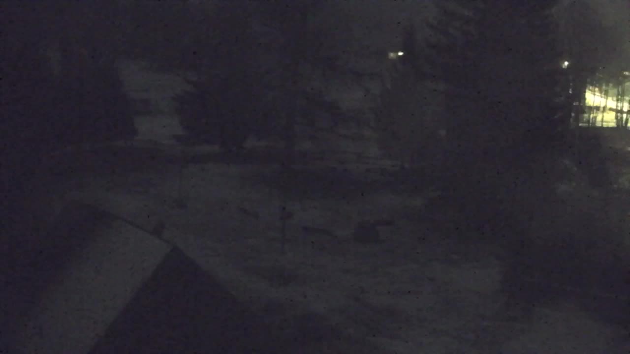 Webcam Lokve – La beauté de la forêt de Trnovo