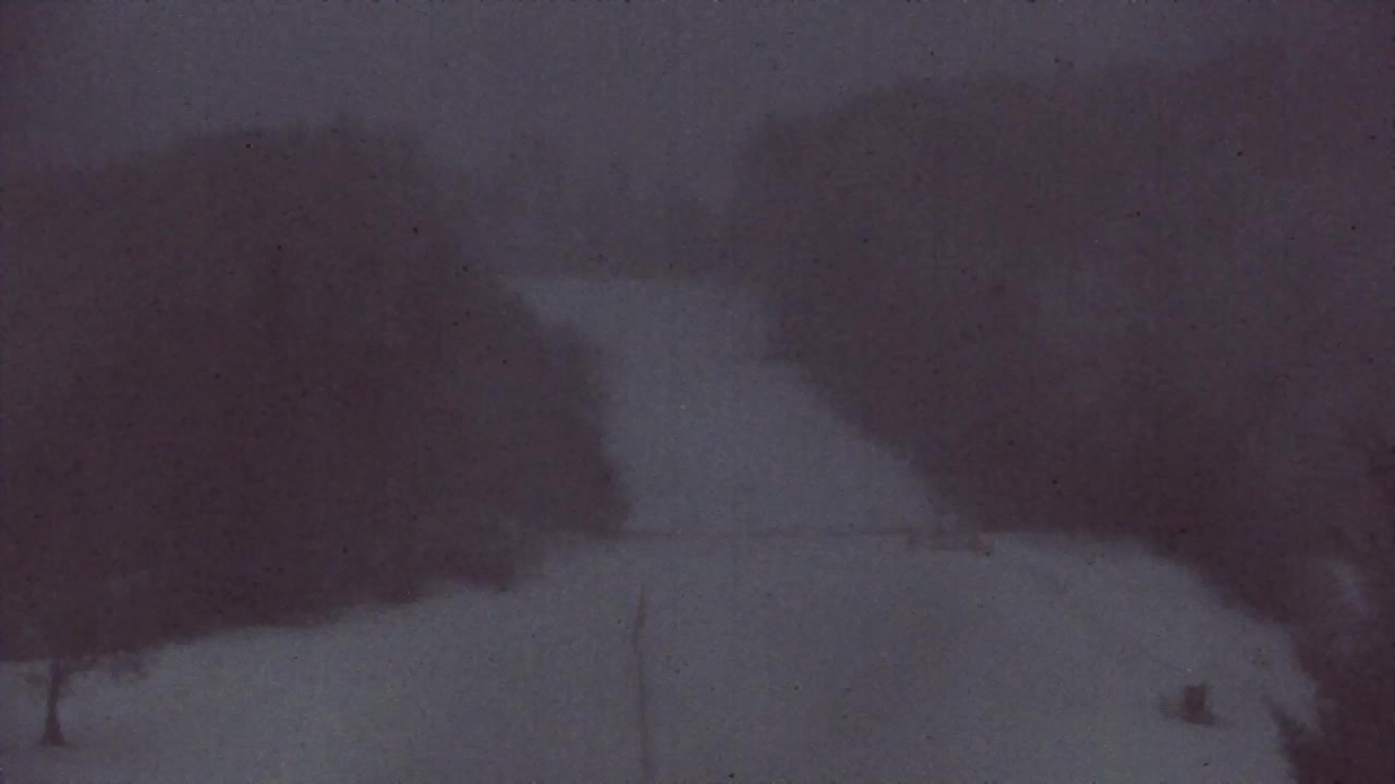 Webcam Lokve – Die Schönheit des Trnovo-Waldes