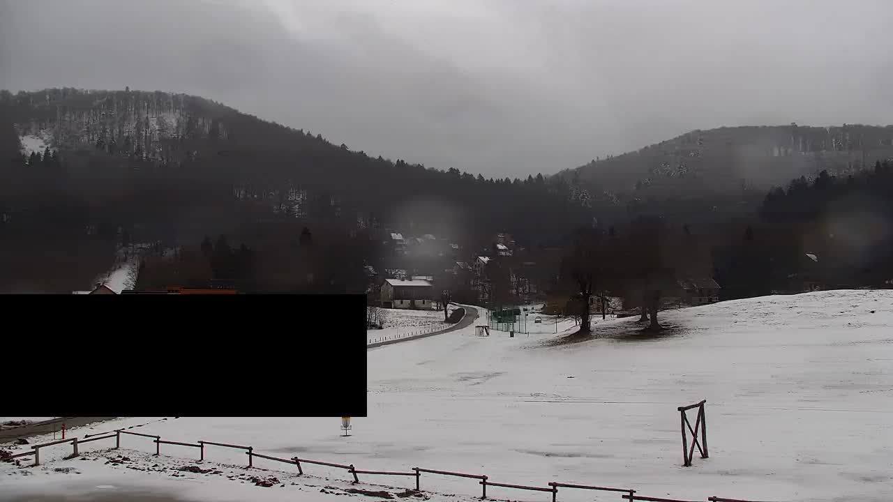 Webcam Loqua / Lokve – La bellezza della selva di Tarnova