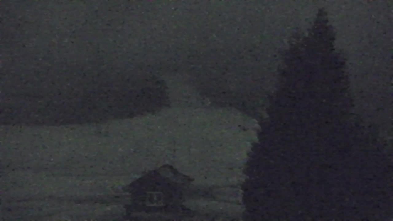 Webcam Lokve – La beauté de la forêt de Trnovo