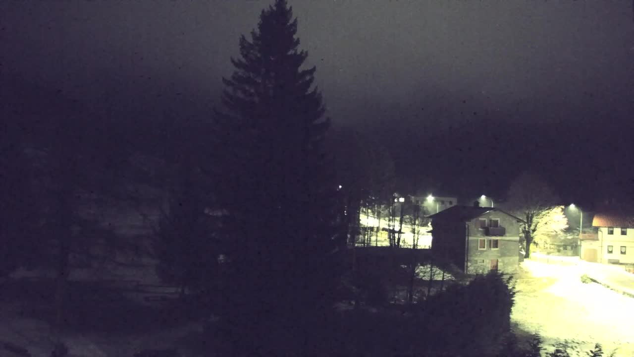 Webcam Loqua / Lokve – La bellezza della selva di Tarnova