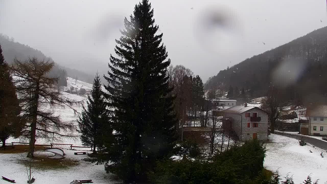 Lokve kamera – Naravne lepote Trnovskega gozda