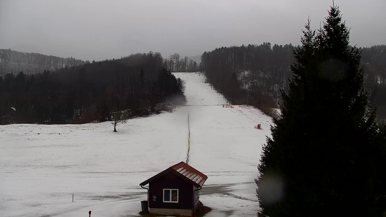 Webcam Lokve – The beauty of the Trnovo forest