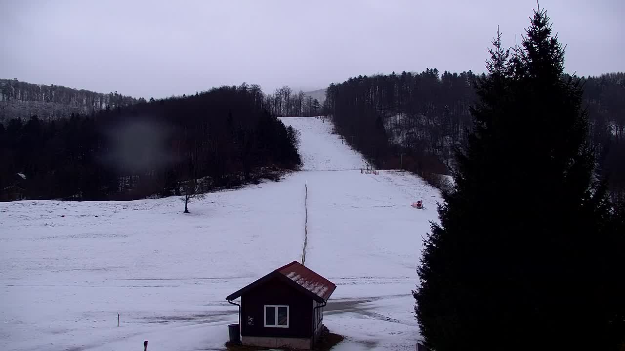 Webcam Lokve – Die Schönheit des Trnovo-Waldes