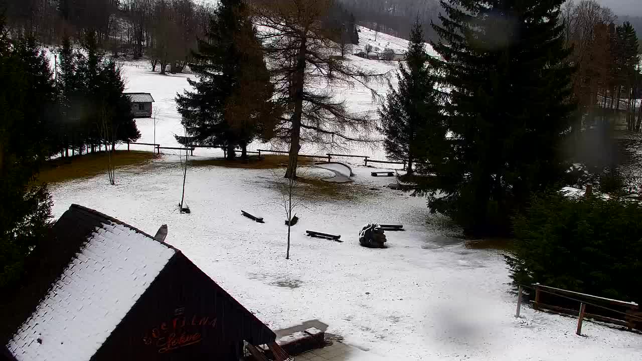 Webcam Lokve – La beauté de la forêt de Trnovo