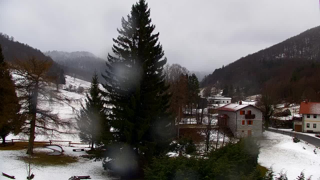 Webcam Loqua / Lokve – La bellezza della selva di Tarnova