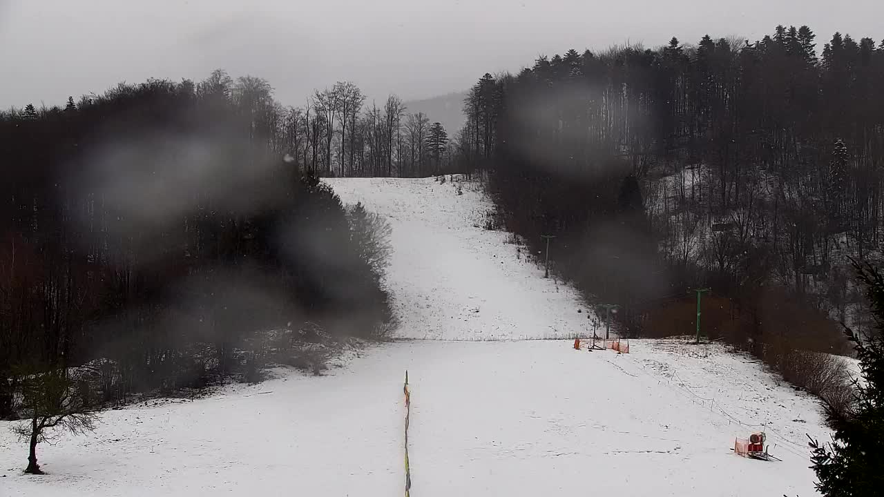 Webcam Lokve – The beauty of the Trnovo forest