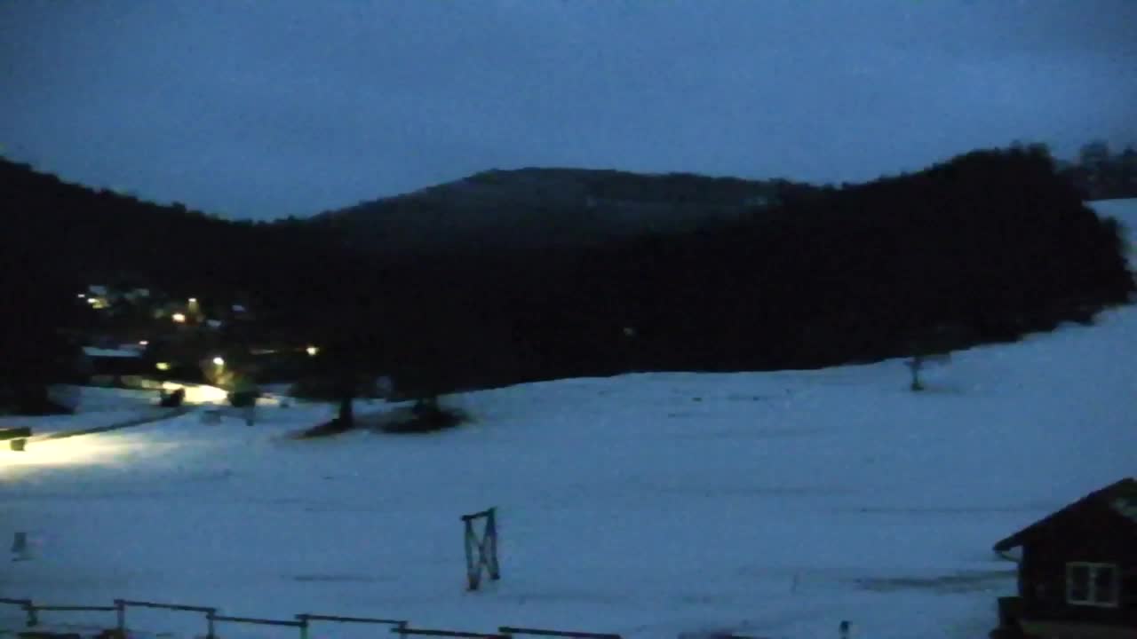 Webcam Lokve – The beauty of the Trnovo forest