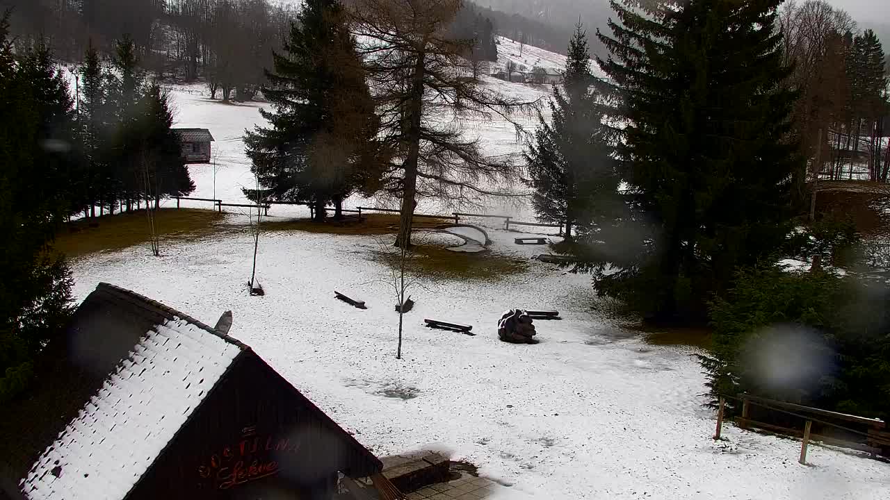 Web kamera Lokve – Ljepota Trnovske šume