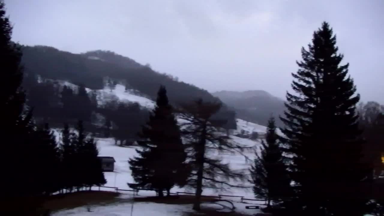 Webcam Lokve – La beauté de la forêt de Trnovo