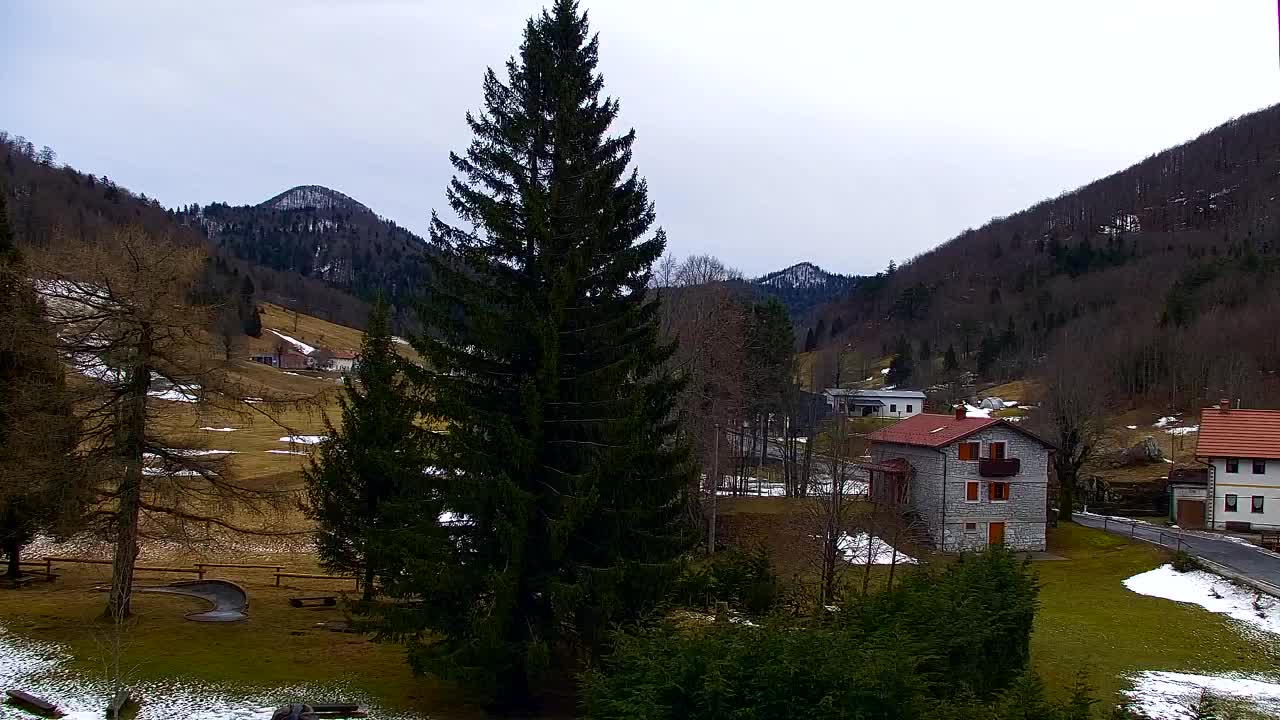 Webcam Lokve – Die Schönheit des Trnovo-Waldes