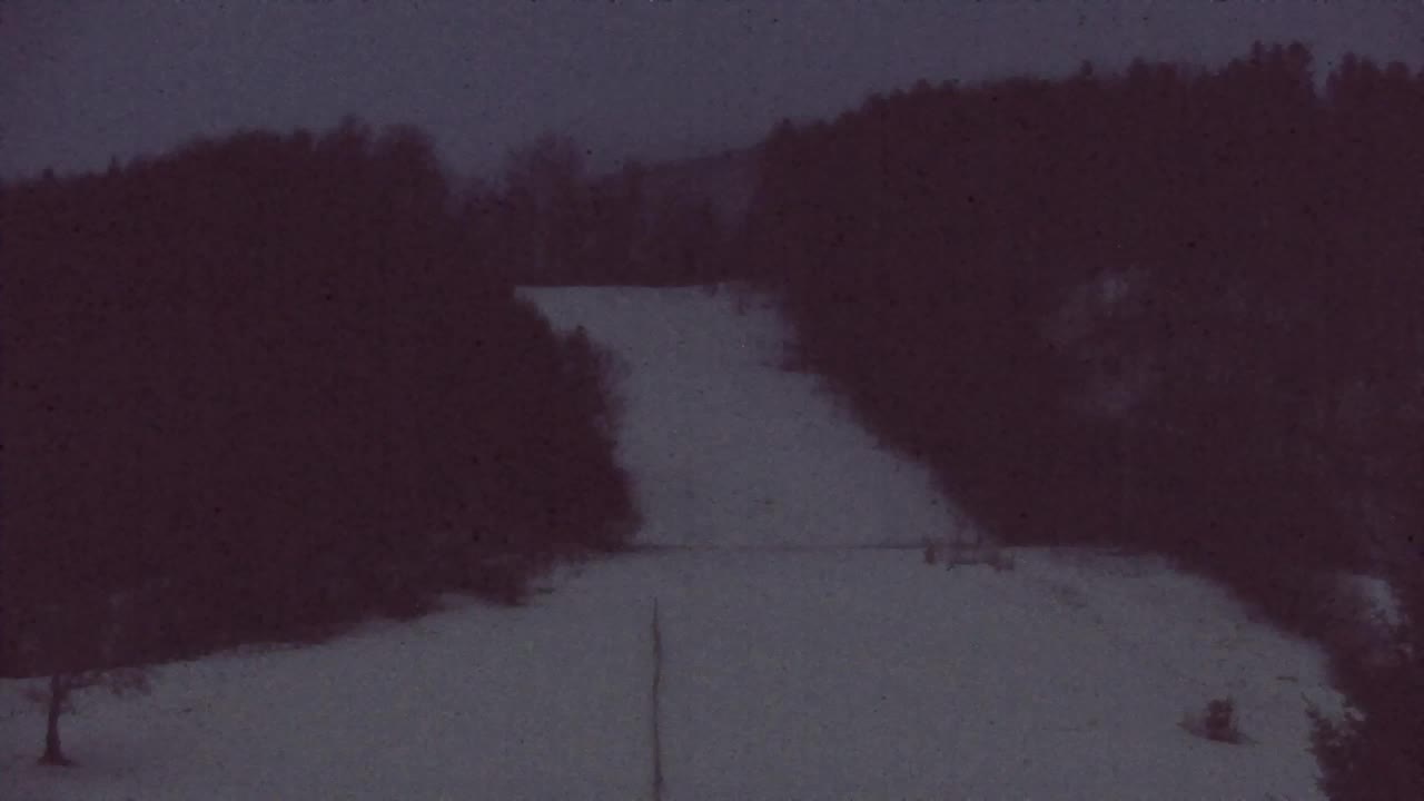 Webcam Lokve – The beauty of the Trnovo forest