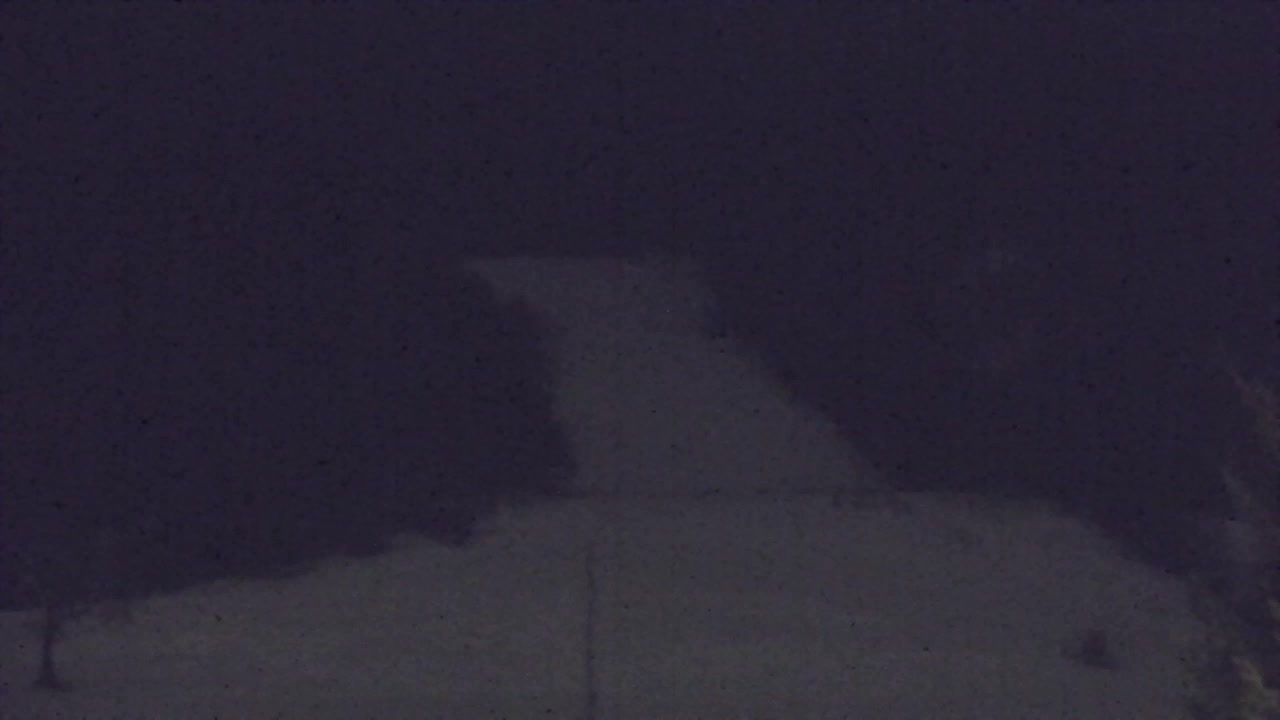 Webcam Lokve – Die Schönheit des Trnovo-Waldes