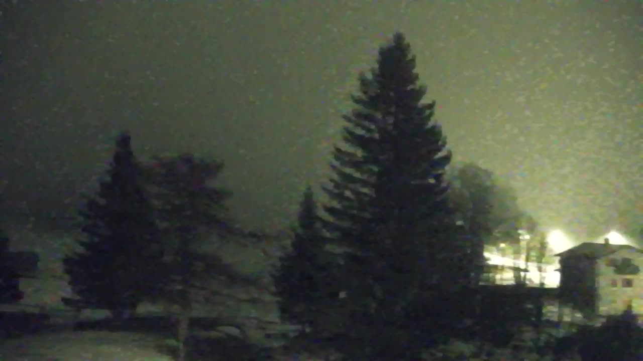 Webcam Lokve – Die Schönheit des Trnovo-Waldes