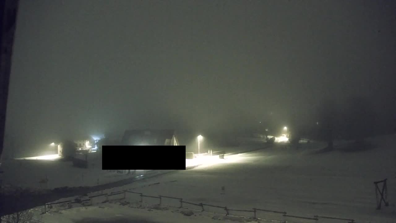 Webcam Loqua / Lokve – La bellezza della selva di Tarnova