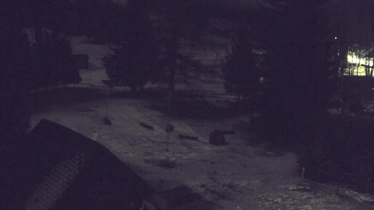 Camera en vivo Lokve – La belleza del bosque de Trnovo