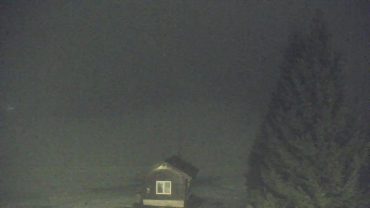 Camera en vivo Lokve – La belleza del bosque de Trnovo