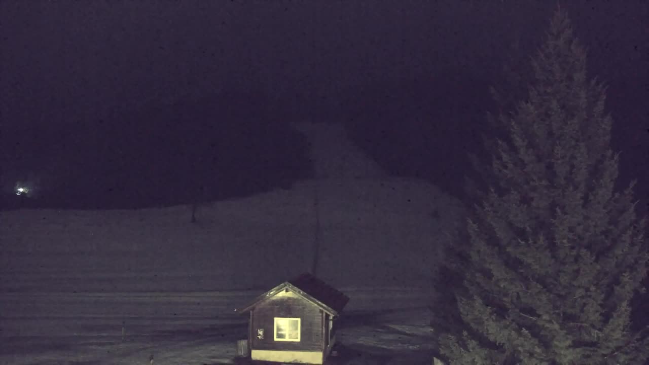 Webcam Lokve – The beauty of the Trnovo forest