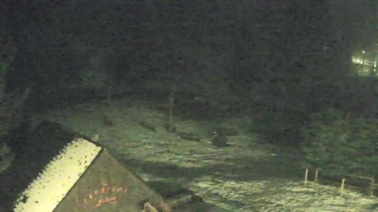 Webcam Loqua / Lokve – La bellezza della selva di Tarnova