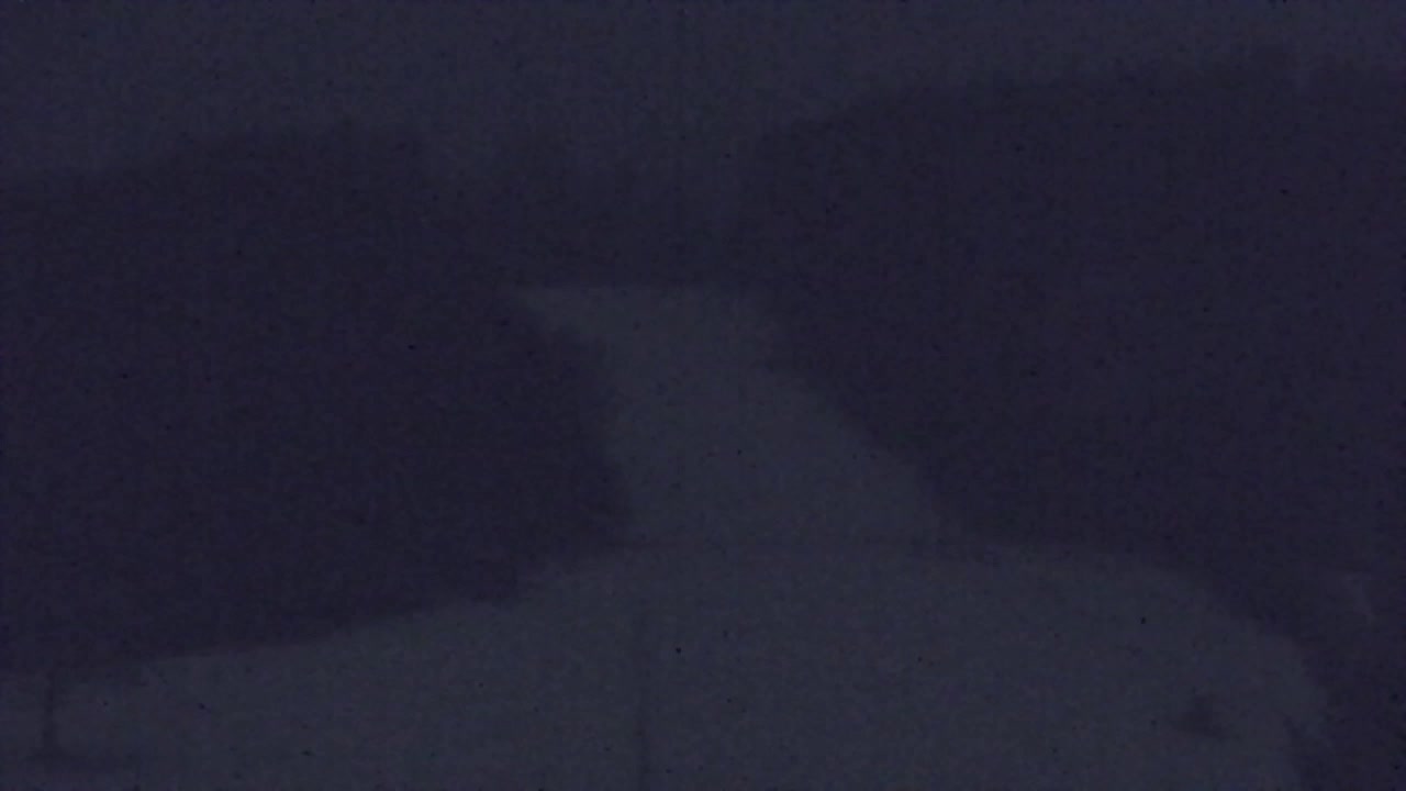 Webcam Lokve – The beauty of the Trnovo forest