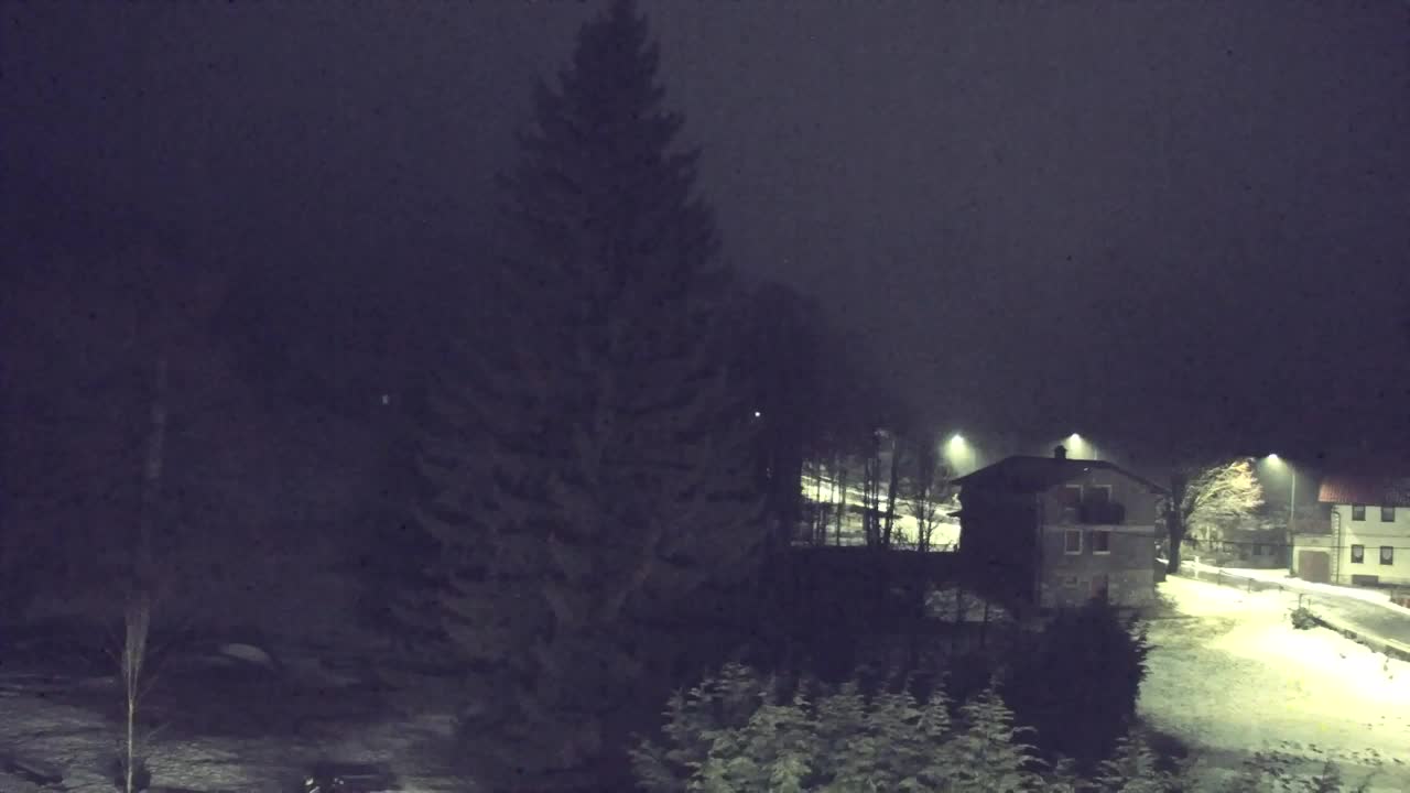 Webcam Lokve – Die Schönheit des Trnovo-Waldes