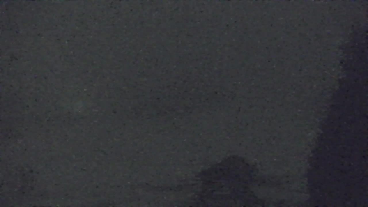 Webcam Loqua / Lokve – La bellezza della selva di Tarnova