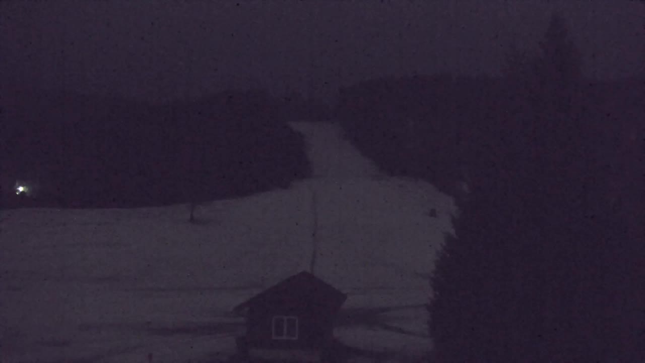 Webcam Lokve – La beauté de la forêt de Trnovo