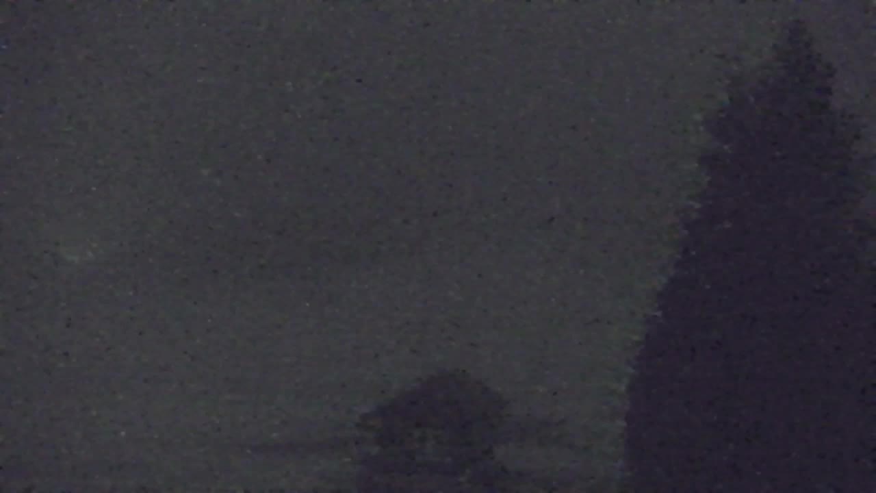 Webcam Lokve – The beauty of the Trnovo forest