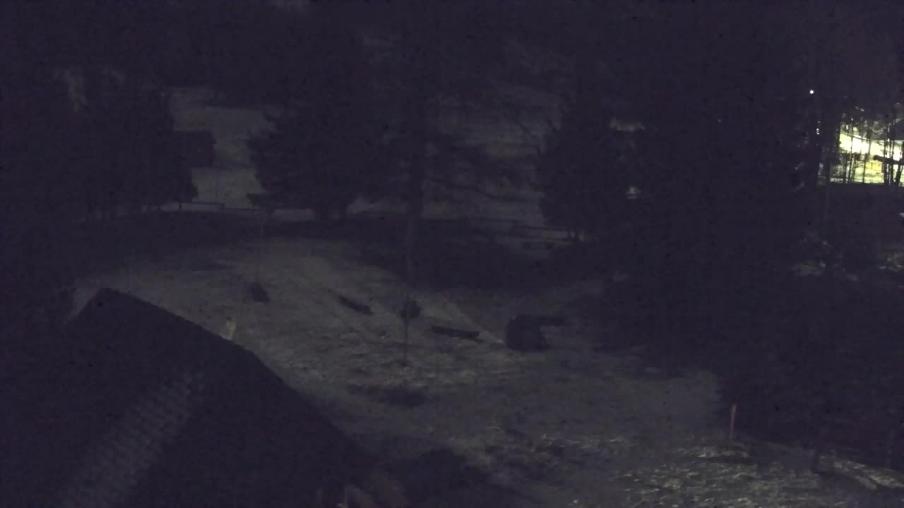 Webcam Lokve – The beauty of the Trnovo forest