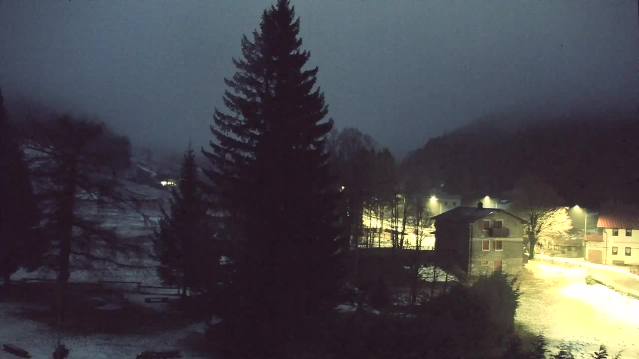 Webcam Lokve – The beauty of the Trnovo forest