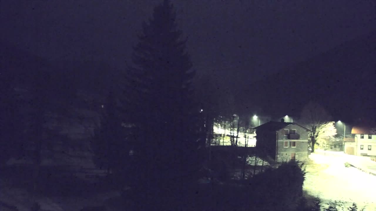 Webcam Loqua / Lokve – La bellezza della selva di Tarnova