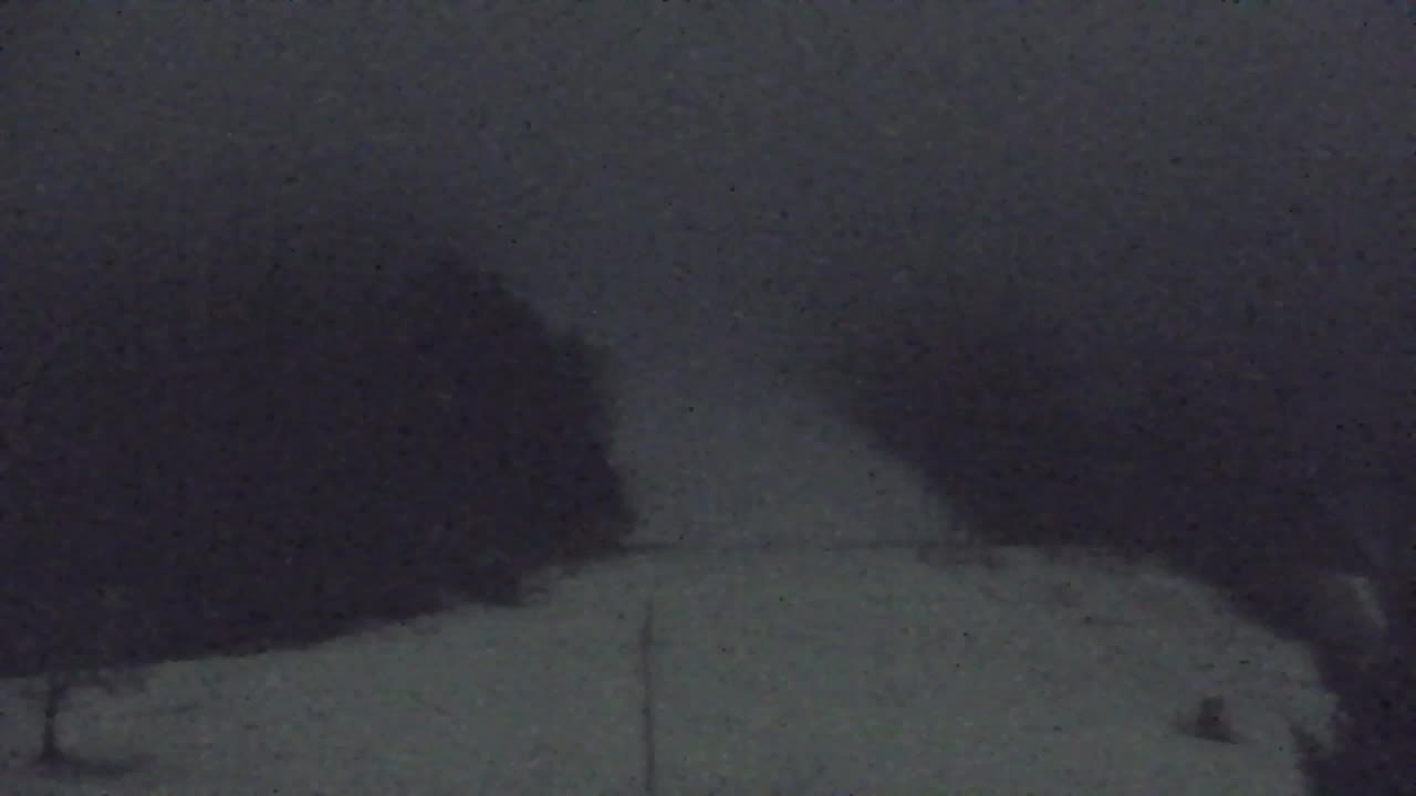 Webcam Lokve – La beauté de la forêt de Trnovo