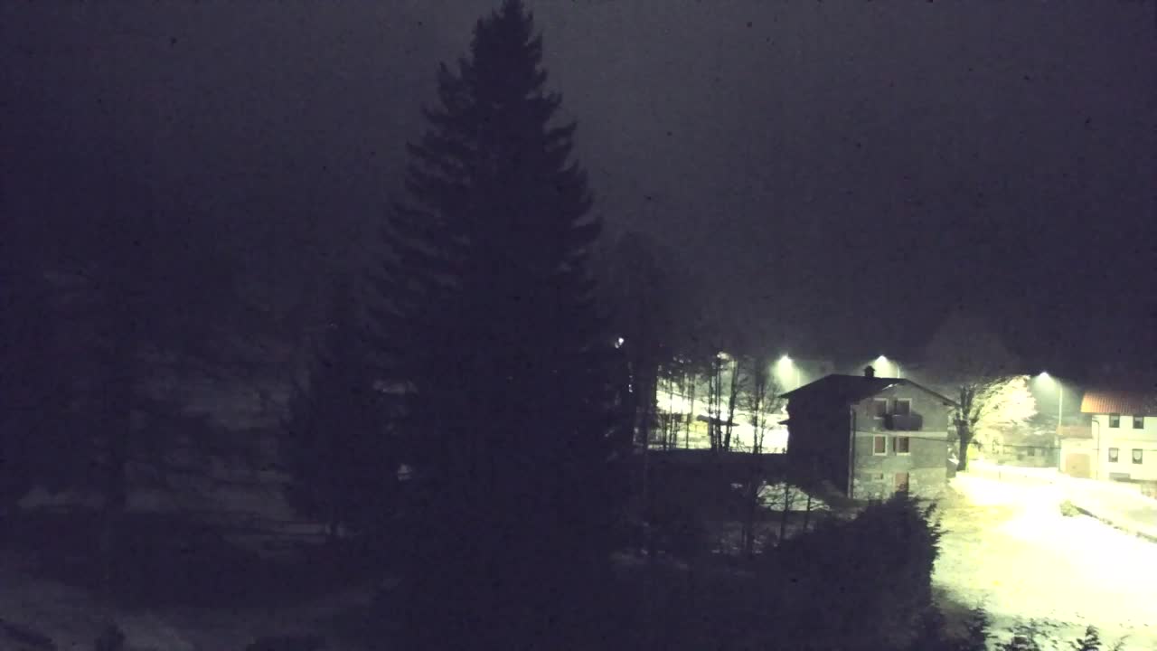 Webcam Lokve – The beauty of the Trnovo forest