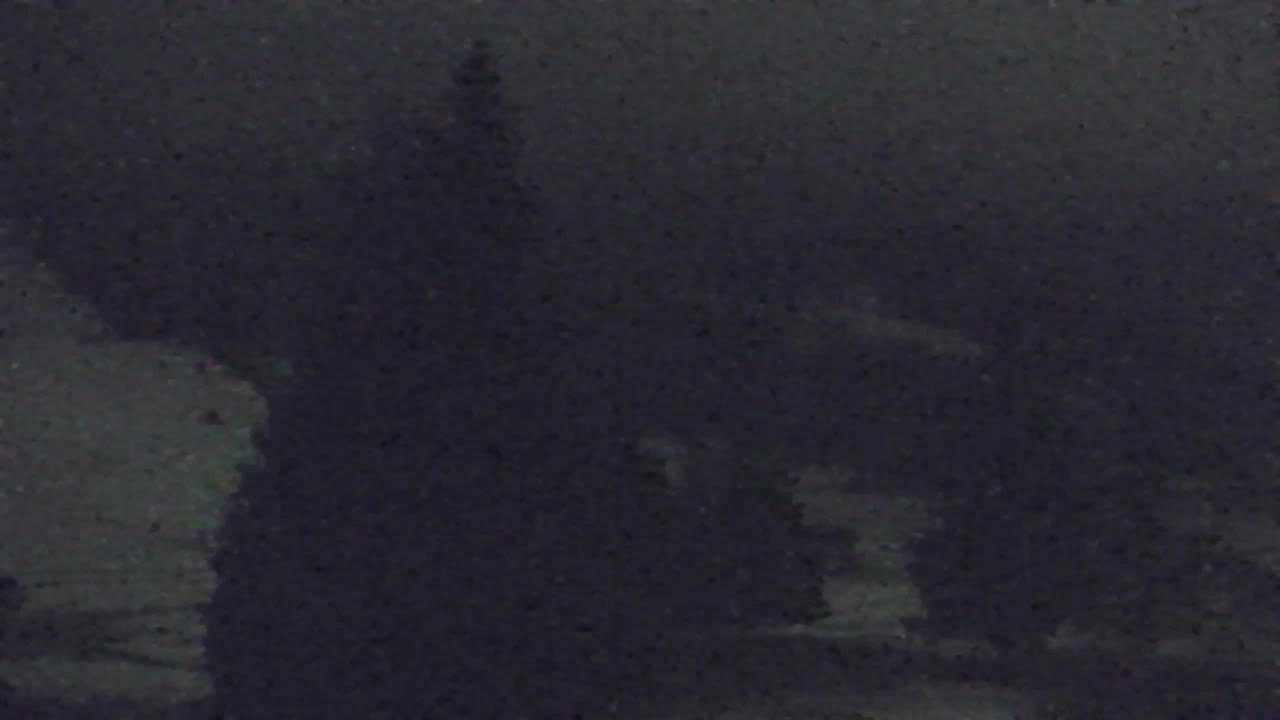 Webcam Lokve – La beauté de la forêt de Trnovo