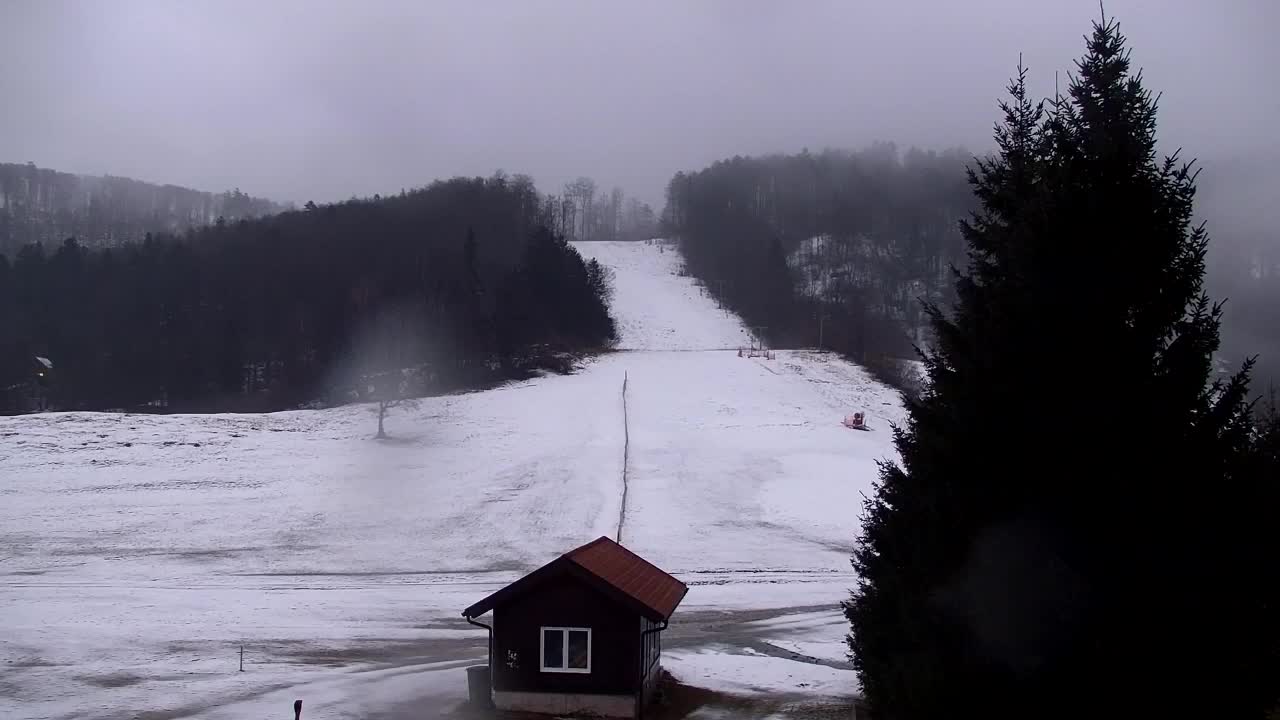 Camera en vivo Lokve – La belleza del bosque de Trnovo