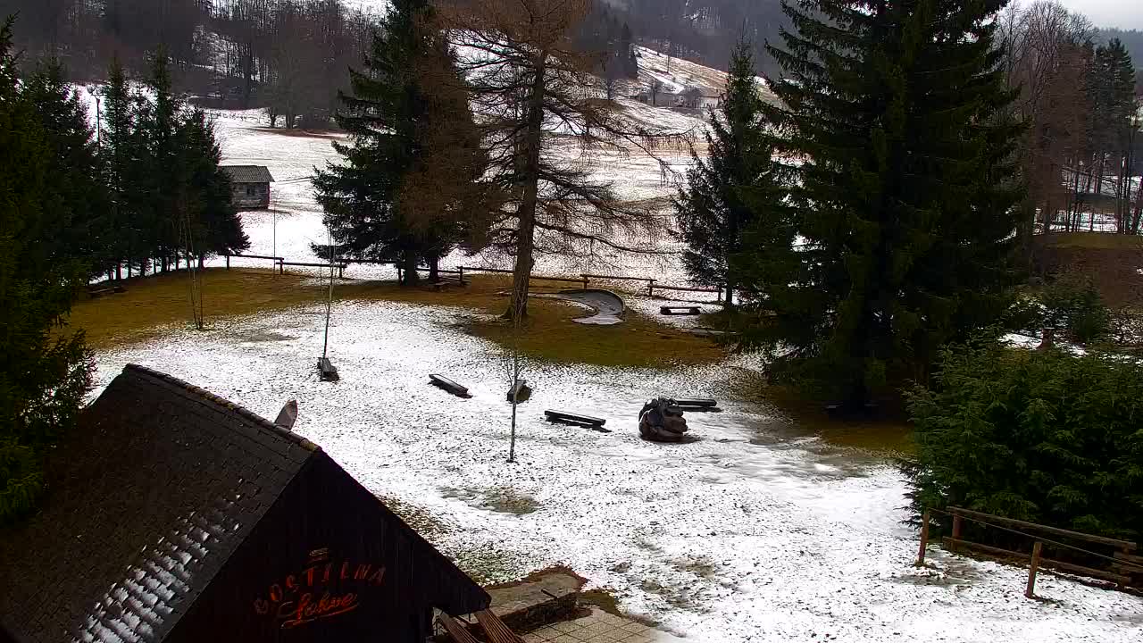 Webcam Lokve – La beauté de la forêt de Trnovo