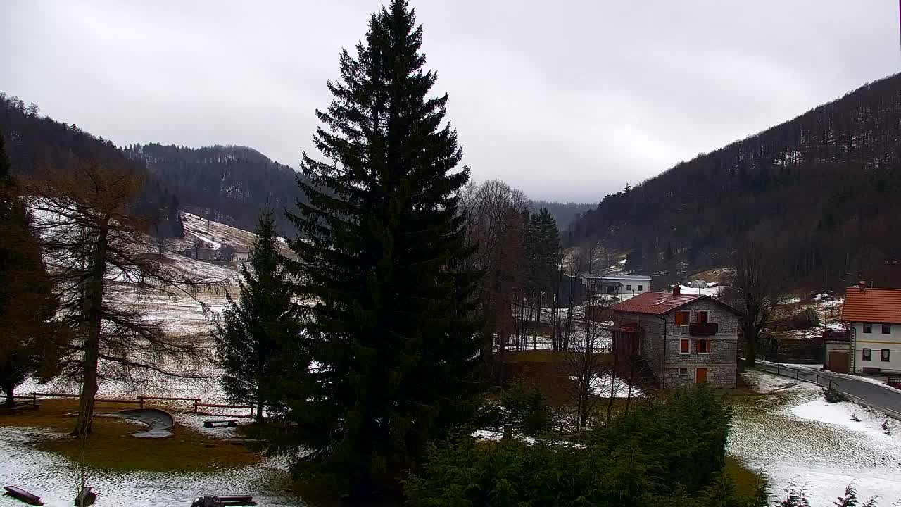 Lokve kamera – Naravne lepote Trnovskega gozda