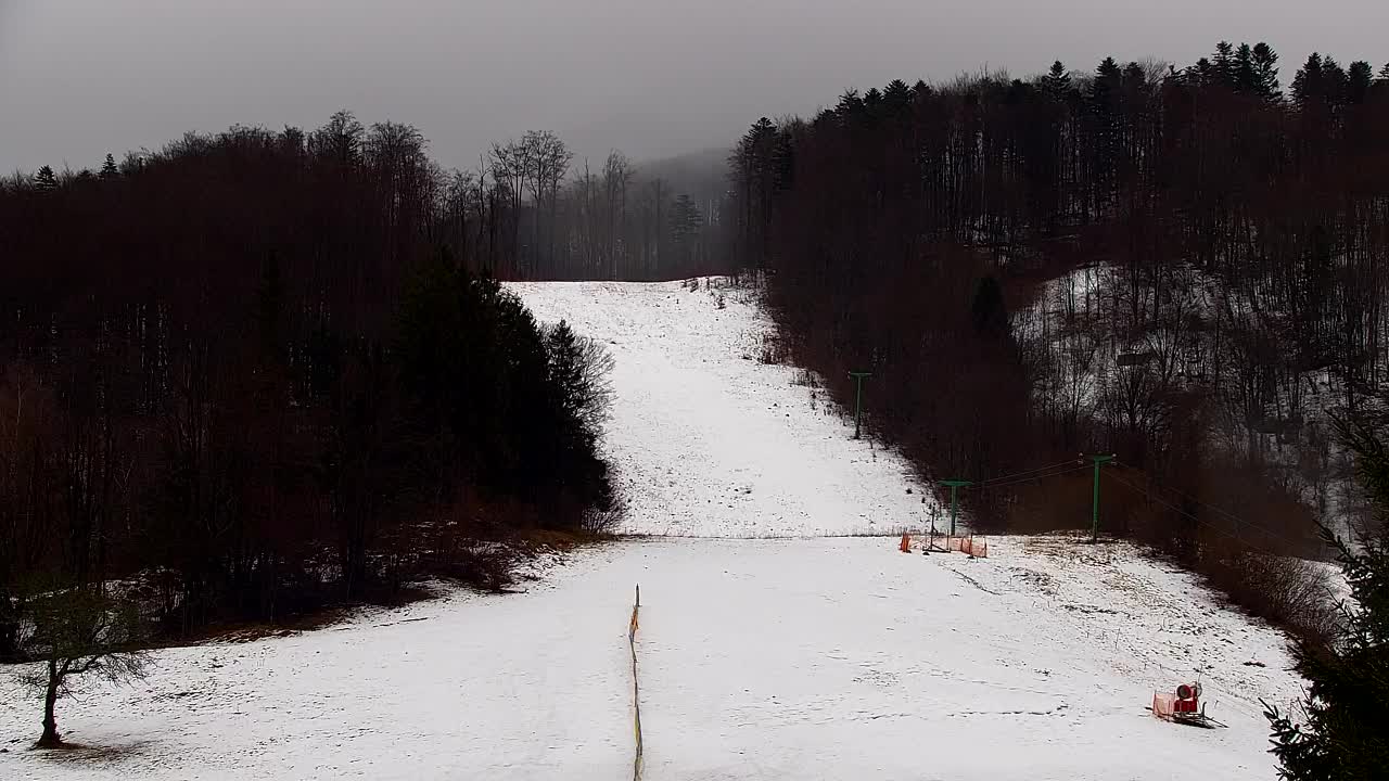 Webcam Loqua / Lokve – La bellezza della selva di Tarnova