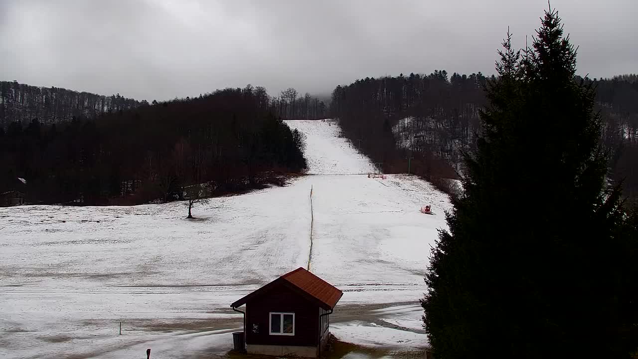 Webcam Lokve – The beauty of the Trnovo forest