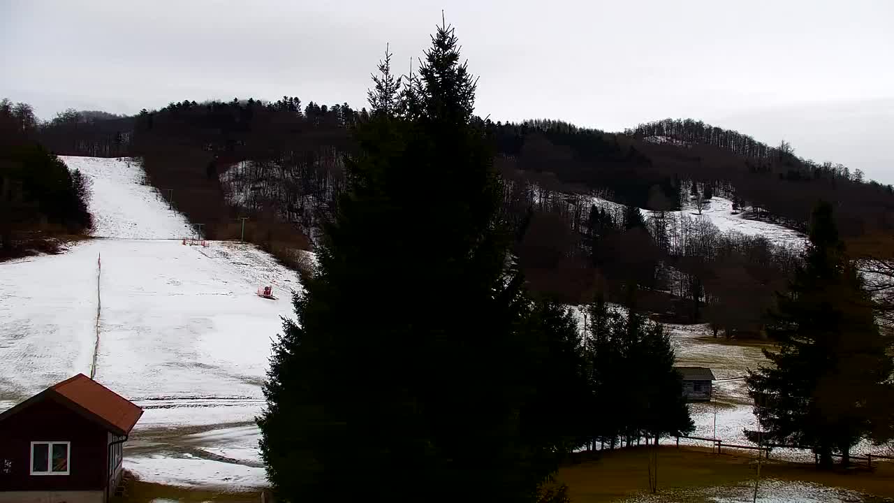 Web kamera Lokve – Ljepota Trnovske šume