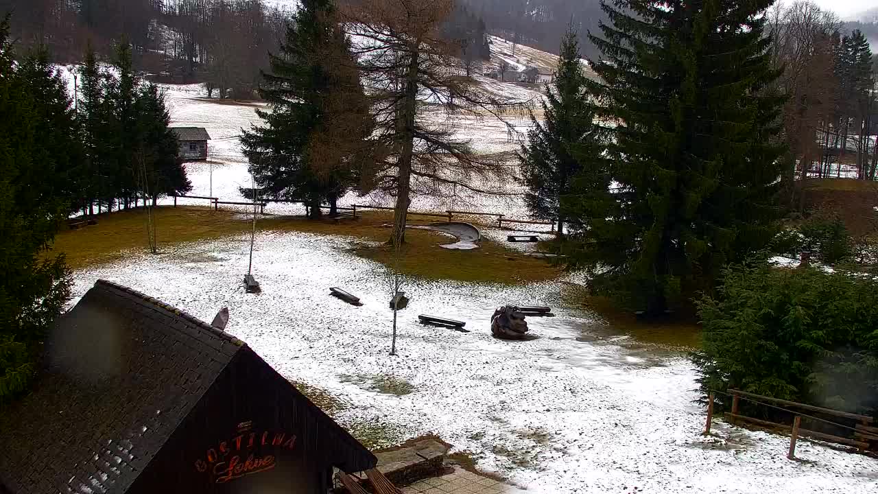 Webcam Loqua / Lokve – La bellezza della selva di Tarnova